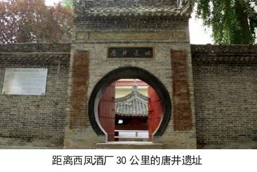西鳳酒：傳承釀造經(jīng)典，品味醉美鳳香:西鳳酒
