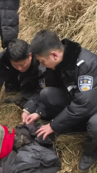 遼寧4歲女童稱睡醒后自行下車，迷路后睡在草地，期間無人接觸；其母發(fā)聲:西鳳酒
