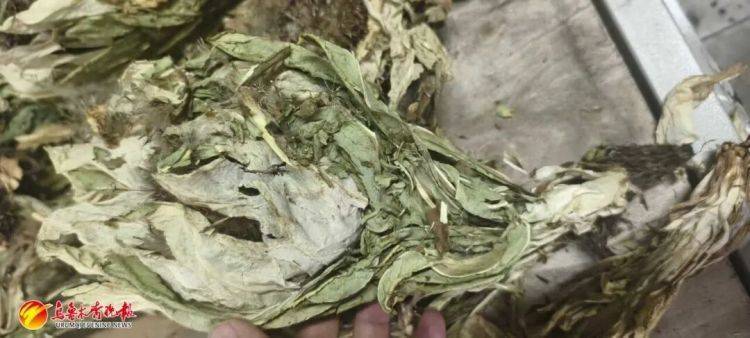 烏魯木齊貨車司機接了一單“玫瑰花”生意，背后竟?fàn)砍?00萬大案:西鳳酒
