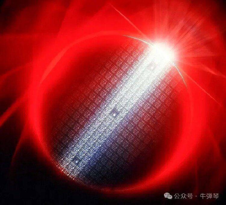 強行接管一家中資旗下子公司，荷蘭被罵慘了:西鳳酒
